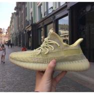 adidas Yeezy 350 Antila