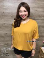 เสื้อเรย่อน คอวี